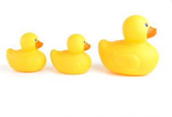 吃瓜爆料小黄鸭图片大全